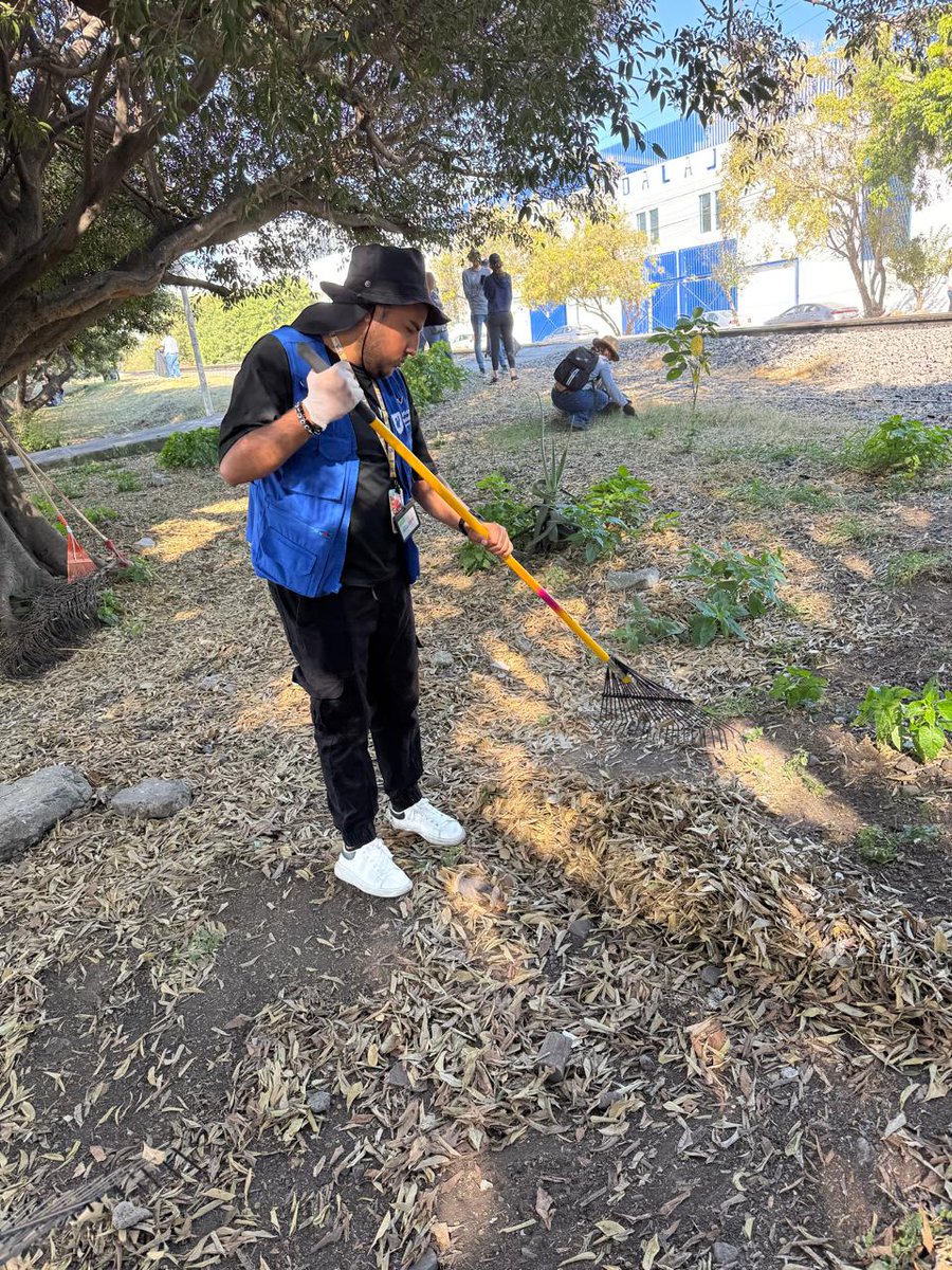 pris_spah's tweet photo. ✨ Sábados de correspondencia ✨

Hoy fue un día especial junto a nuestra presidenta @VeroDelgadilloG. Nos unimos para limpiar las calles de Guadalajara, mostrando que cuando trabajamos juntos, podemos transformar nuestra ciudad. 💪🌱 https://t.co/5iXxcfu6jT