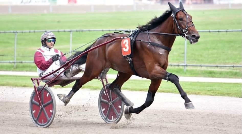 Ginostrabligi #MuscleHill won the Gran Premio Masaf in Milan