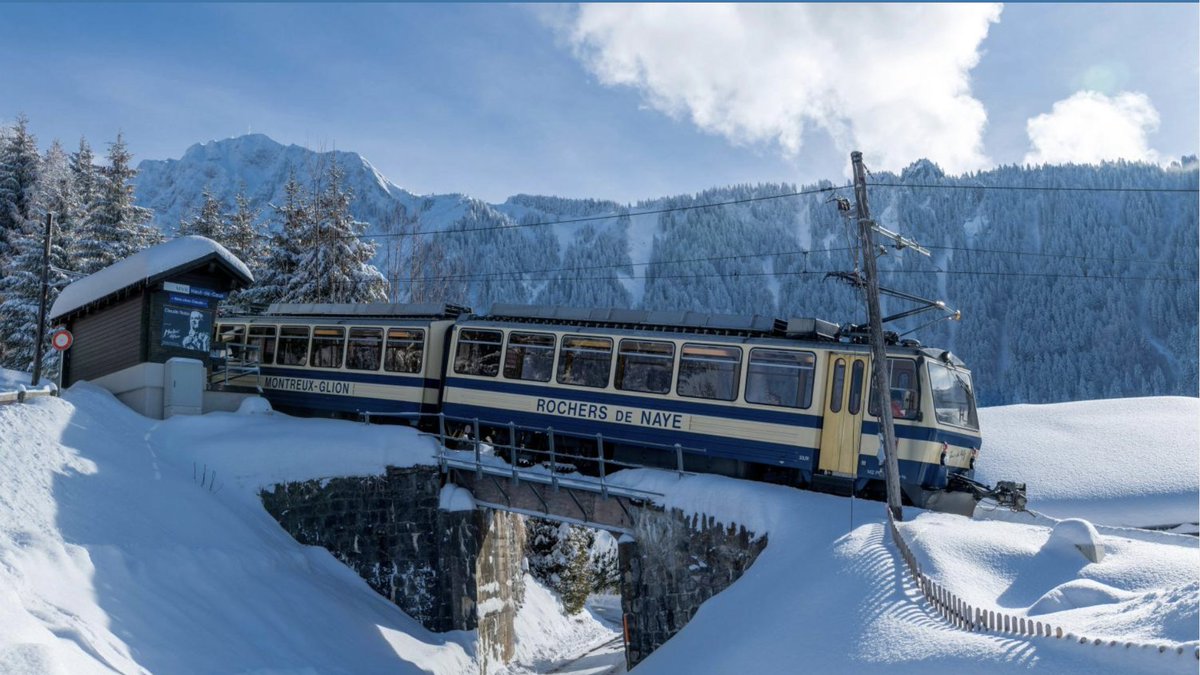 𝚃𝚊𝚛𝚊𝚜 𝙶𝚛𝚎𝚜𝚌𝚘𝚎 🚇 tweet media