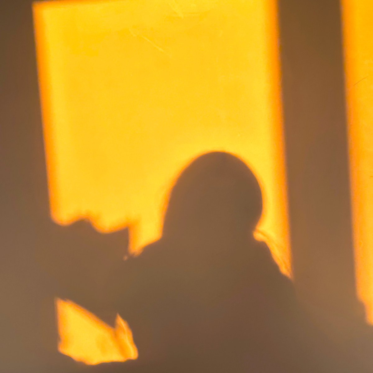 小词🥀 (@evelyn00006) on Twitter photo 