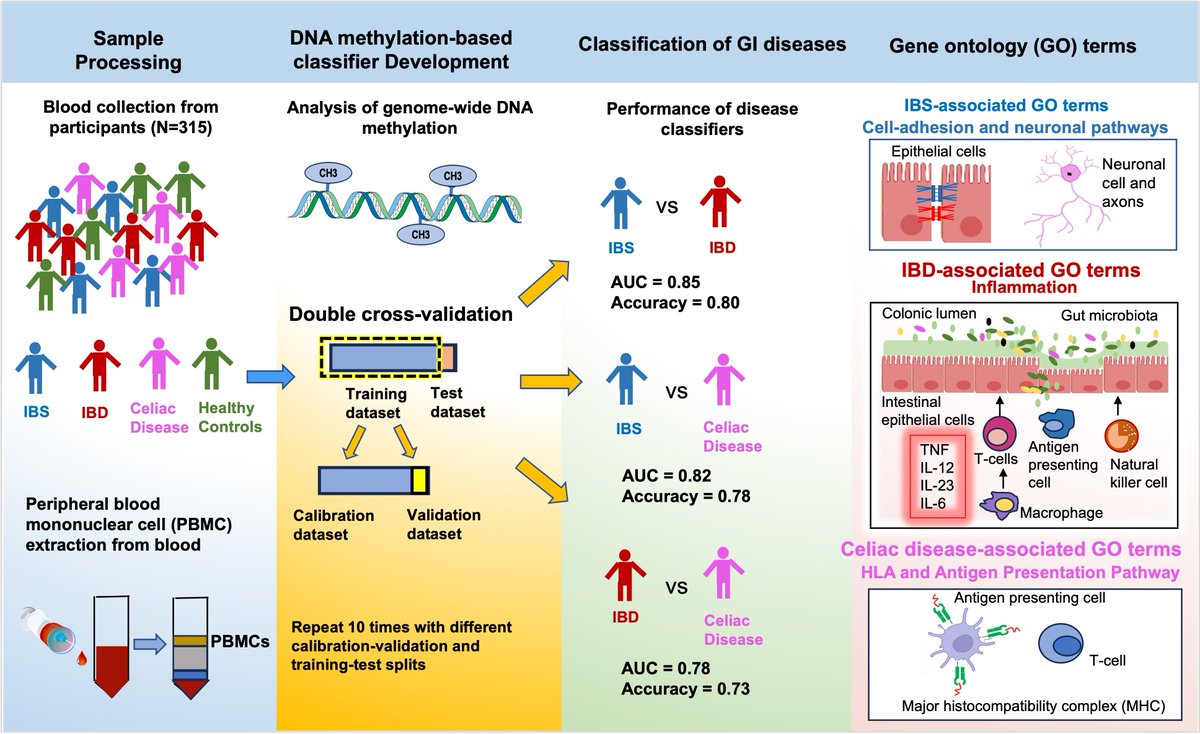UCLA Gastroenterology and Hepatology (@uclagihep) on Twitter photo Blood DNA methylation biomarkers potentially distinguish #IBS, #IBD and celiac disease offering novel diagnostics 🔖 <a href="/NGMJournal/">Neurogastro & Motil</a>
👥<a href="/SwapnaJoshi_PhD/">Swapna Mahurkar-Joshi, PhD</a> <a href="/DrLisaLin/">Lisa Lin, MD MS</a> <a href="/DrHashemiUCLAGI/">Hamed Nayeb-Hashemi</a> <a href="/berkeleydoc/">Berkeley Limketkai</a> @emeranamayer <a href="/LinChangMD/">Lin Chang</a> et al
👉onlinelibrary.wiley.com/doi/10.1111/nm… Blood DNA methylation biomarkers potentially distinguish #IBS, #IBD and celiac disease offering novel diagnostics 🔖 <a href="/NGMJournal/">Neurogastro & Motil</a>
👥<a href="/SwapnaJoshi_PhD/">Swapna Mahurkar-Joshi, PhD</a> <a href="/DrLisaLin/">Lisa Lin, MD MS</a> <a href="/DrHashemiUCLAGI/">Hamed Nayeb-Hashemi</a> <a href="/berkeleydoc/">Berkeley Limketkai</a> @emeranamayer <a href="/LinChangMD/">Lin Chang</a> et al
👉onlinelibrary.wiley.com/doi/10.1111/nm…