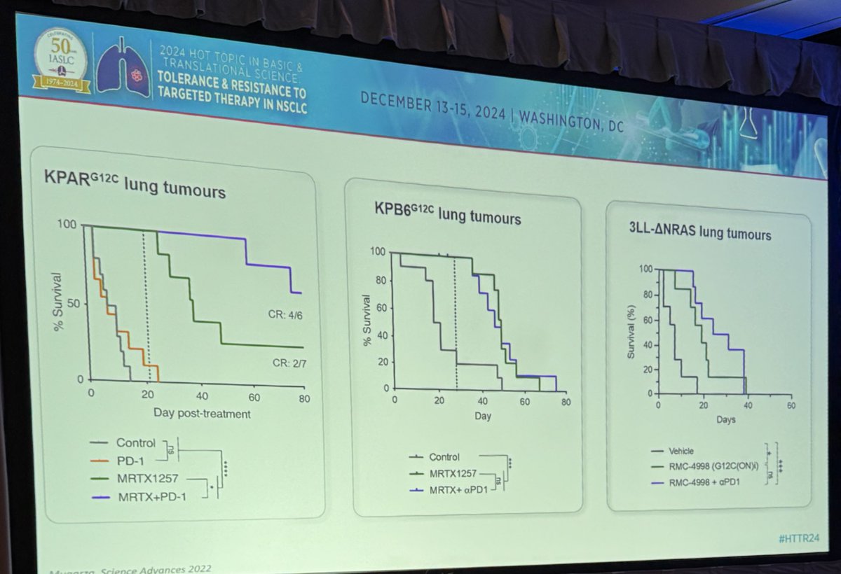 StephenVLiu's tweet photo. Dr. @molina_arcas highlights preclinical models of oncogenic #KRAS and tumor immunity at the @IASLC #HTTR24 meeting, explaining why some models are representative and some are not. KRAS inhibition increases immune inflammation - in specific models… https://t.co/QVK6tDd1mh