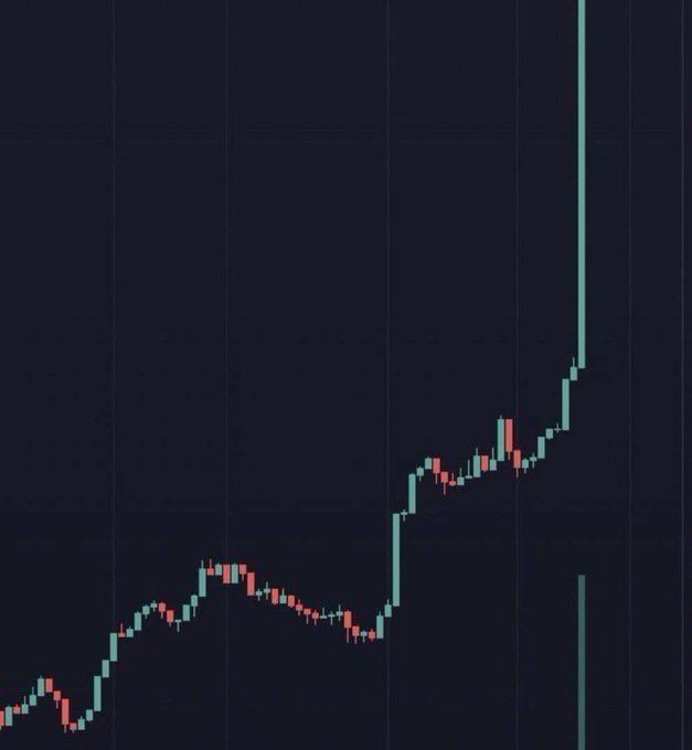 Real World Asset Watchlist tweet media