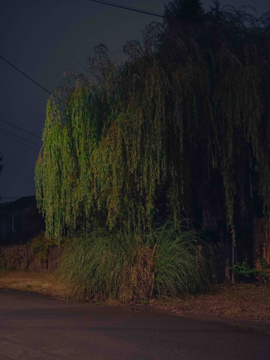 Dad wilder (@dadwilder1) on Twitter photo 