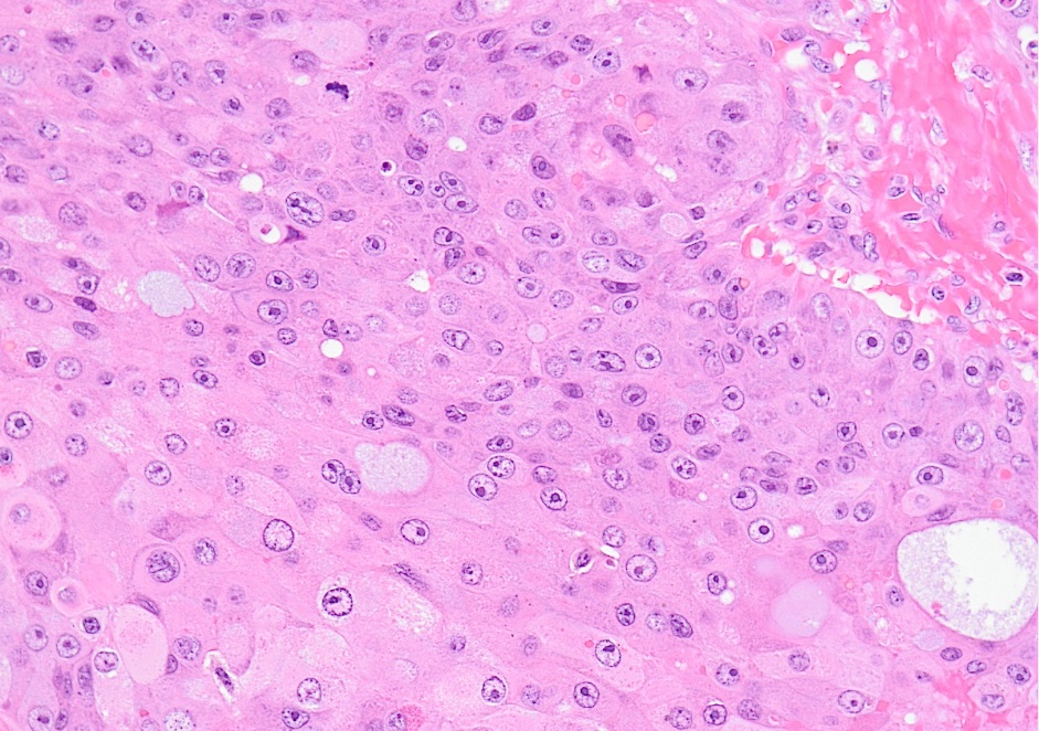 Pathology Society of Philadelphia tweet media