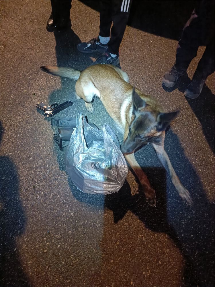Gendarmerie_074's tweet photo. 4 conduites sous stupéfiants
4 autres en alcoolémie
1 homme en garde à vue pour trafic de stupéfiants, saisie de :
🌿 490g de cannabis
💊 23 cachets ecstasy
💶 3 385 €
Gendarmerie nationale Morzine #Avoriaz #Montriond https://t.co/GpkdILpKko