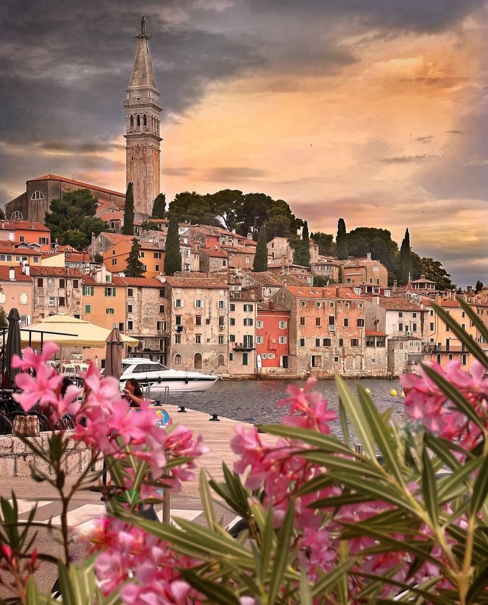 HrvatskaNaDlanu's tweet photo. Rovinj is absolutely beautiful and charming ✨
・・・
📍Rovinj, Croatia 🇭🇷 @visit.croatia by @danijela.adler
・・・
#rovinj #visitrovinj #adriaticdream #chorwacja #chorvatsko #beautifuldestinations #exploreistria #visitcroatia https://t.co/0d3FxSm2d3