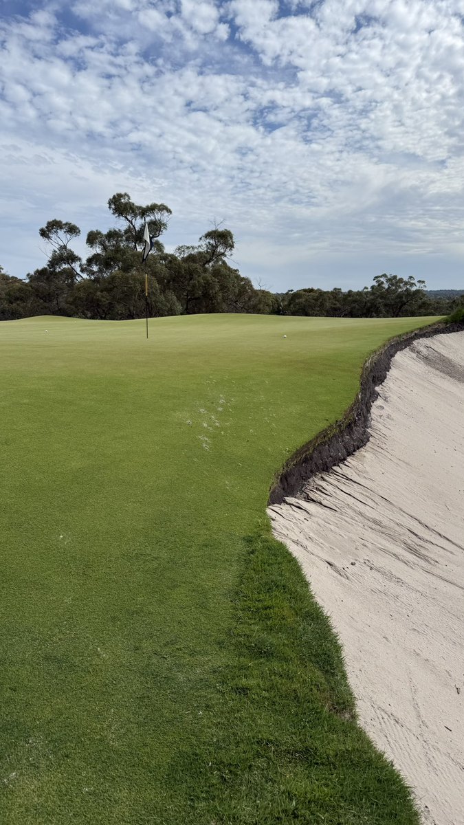 Alexandra O'Laughlin tweet media