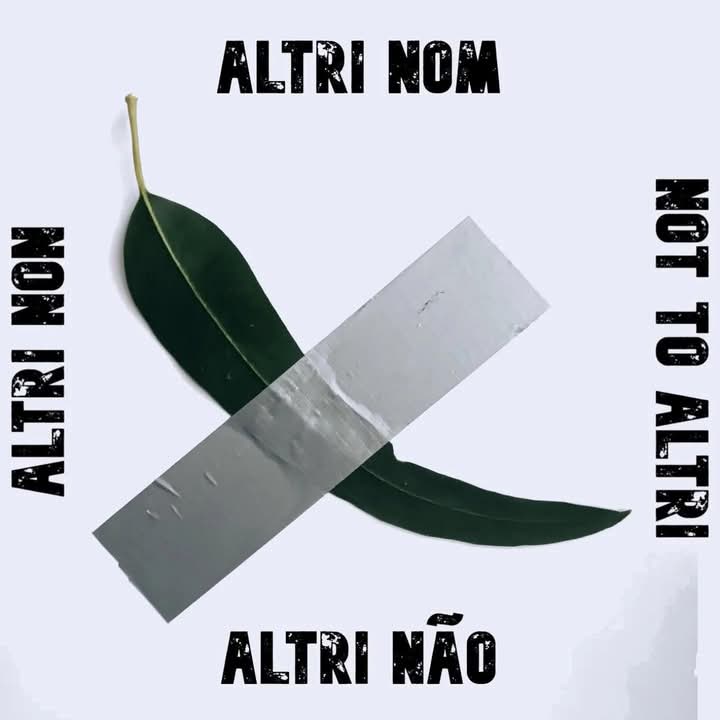 #AltriNon
#ForaAsMacrocelulosas