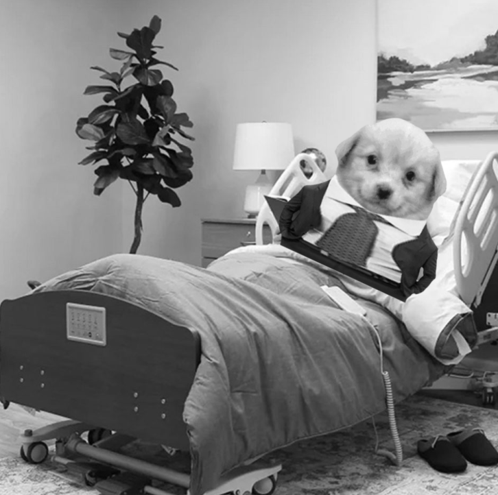 🐾Major Lick Industries Announcement:

It is with great distress that we must announce the death of our CEO, Bart Twain.

After the launch of $LICK, Bart fell very ill from all of the initial backlash.

But the real community persisted, and believed in Bart's vision. 🧵👇