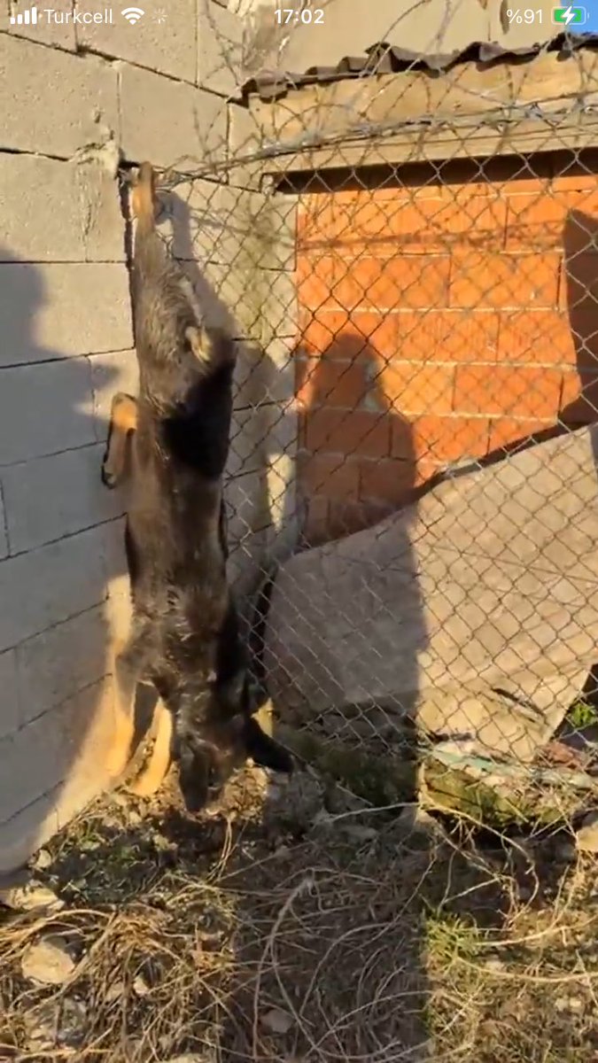 sınıfsal deyip durdun, aha sana sınıfsallık <a href="/eczozgurozel/">Özgür Özel</a>