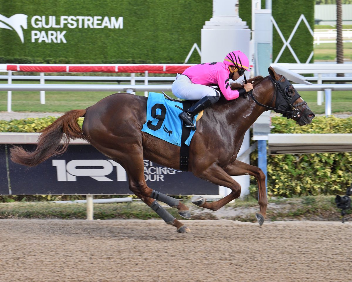 Ain't No Disco prevails in race 7, Edgar Pérez aboard for trainer <a href="/BLynchRacing/">Brian Lynch Racing 🦘</a> and owner Silveron Hill. #GulfstreamPark #ChampionshipMeet