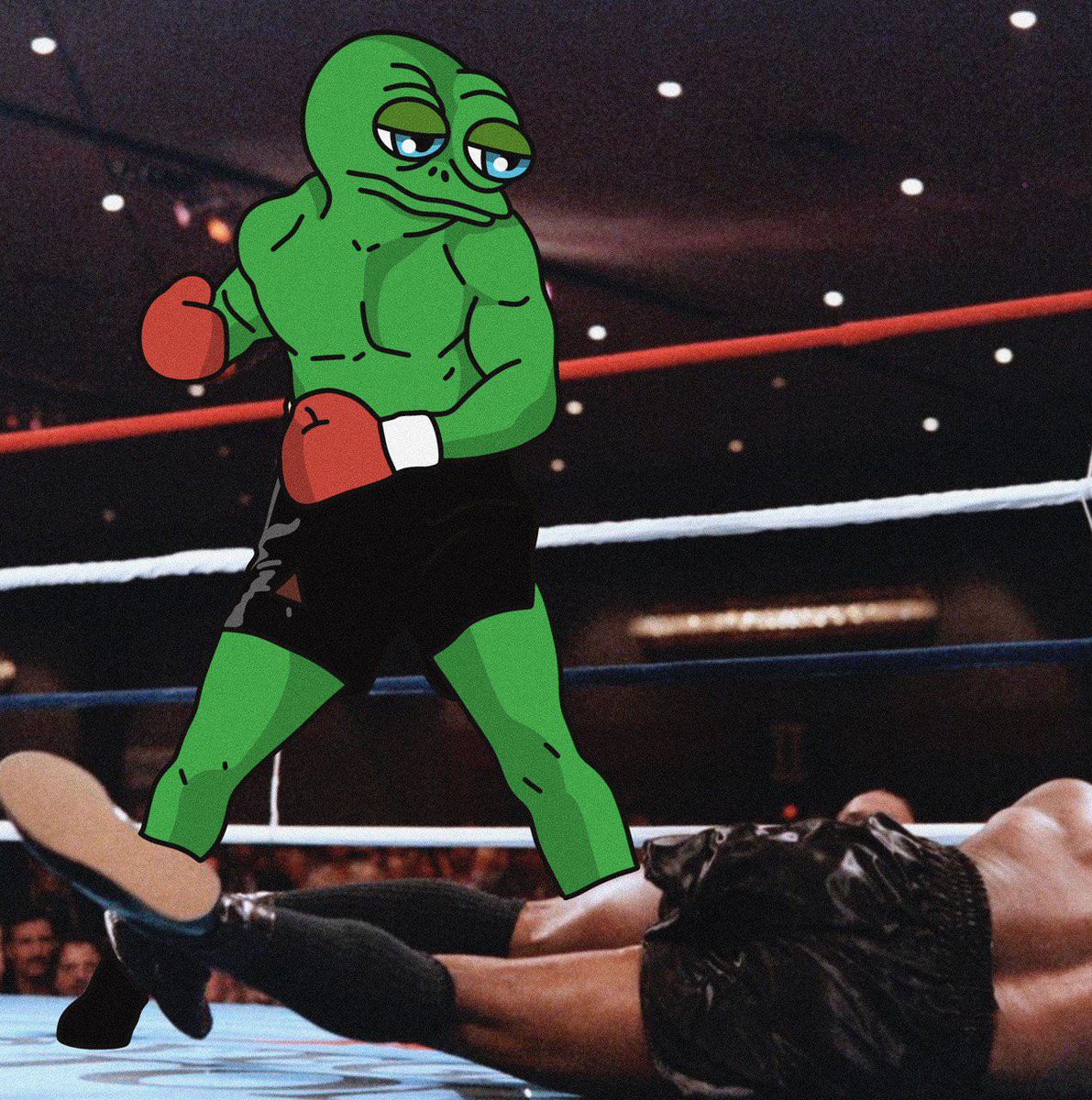 $BOG is knocking out the non believers 🫵🐸