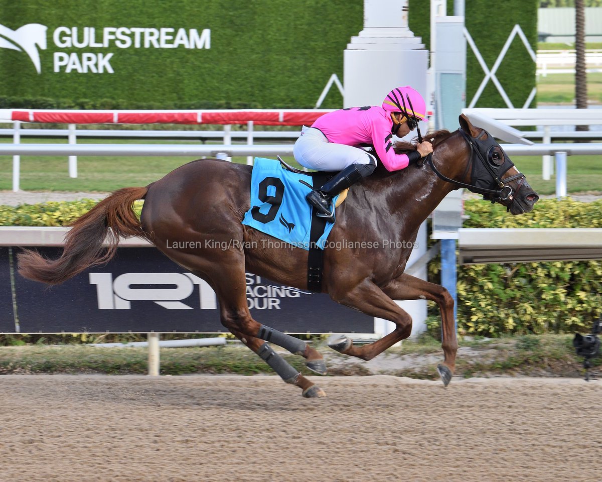 Ain't No Disco prevails in race 7, Edgar Pérez aboard for trainer <a href="/BLynchRacing/">Brian Lynch Racing 🦘</a> and owner Silveron Hill. #GulfstreamPark #ChampionshipMeet 

Ain't No Disco prevalece en la 7.ª carrera, Edgar Pérez abordo para el preparador Brian Lynch.