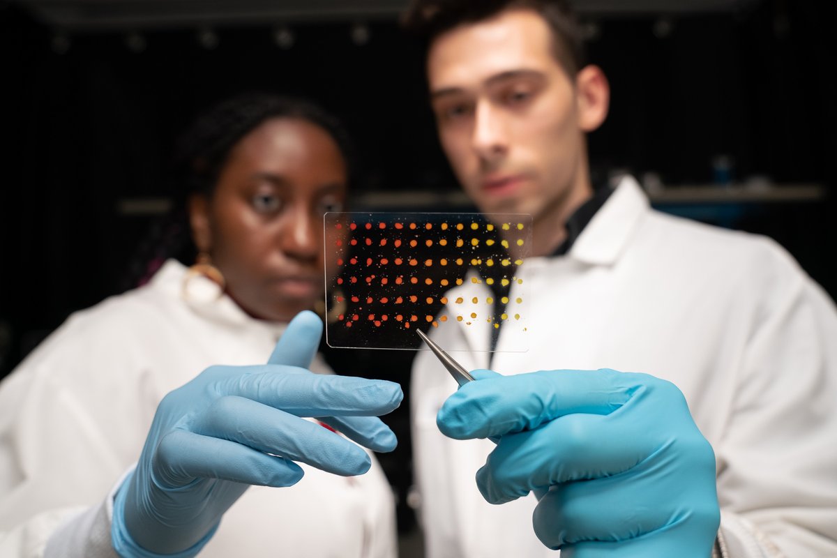 MIT's tweet image. New computer vision method helps speed up screening of electronic materials: The technique characterizes a material’s electronic properties 85 times faster than conventional methods. mitsha.re/ghna50SnhPN