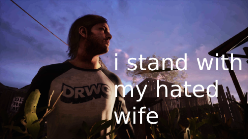 ✨ scout. tweet media