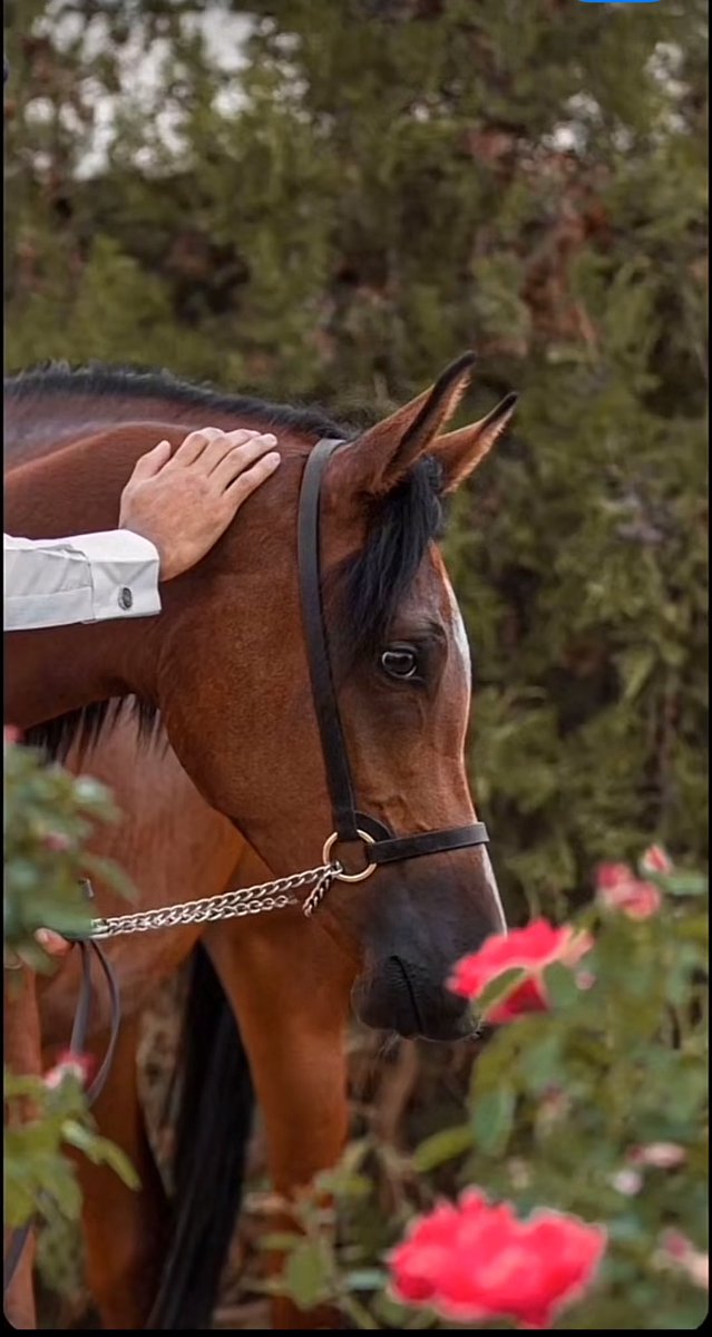 Whisper💎.. tweet media