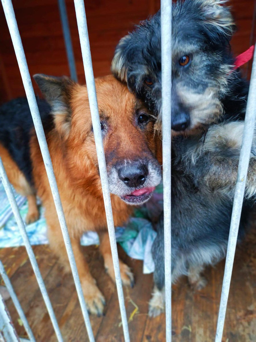 $TWO x100
People will love these $TWO dogs
pump.fun/coin/8aC4NAMAP…
Send it 🚀🚀🚀🚀
$SOL #Solana $GEM $DEGEN $BOYS $FRTDOG $AWAWA $JASPER $BULL $MIKU $PENGU $GMP $AAA $DUCK