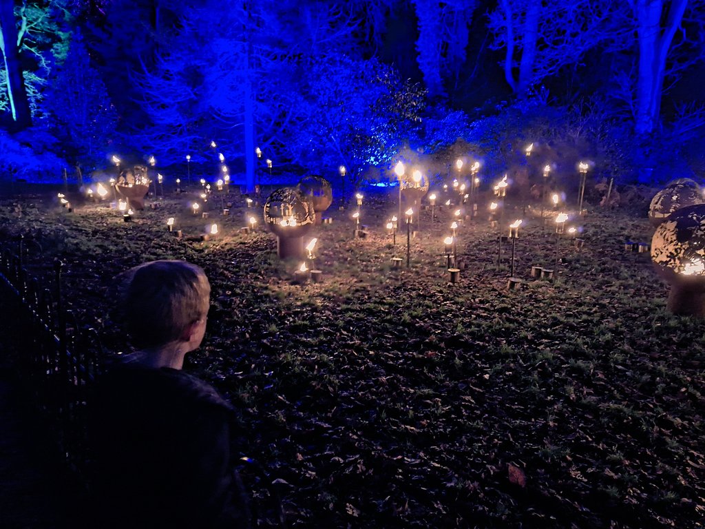 Carrie Brady (@drcarriebrady) on Twitter photo Finding the Christmas spirit <a href="/WestonbirtArb/">Westonbirt Arboretum - Forestry England</a>! Beautiful light display this year π #christmasatwestonbirt Finding the Christmas spirit <a href="/WestonbirtArb/">Westonbirt Arboretum - Forestry England</a>! Beautiful light display this year π #christmasatwestonbirt