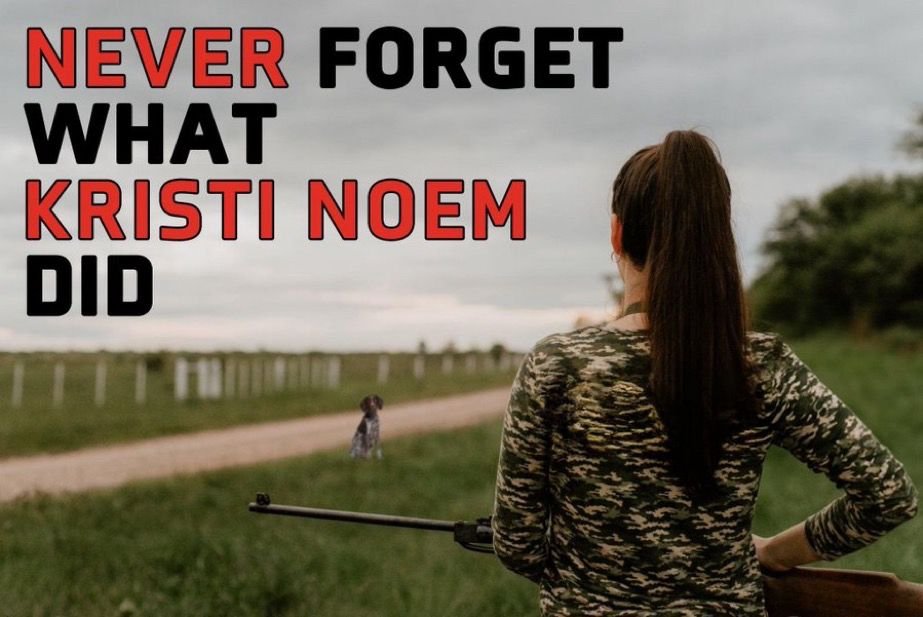 SammySmoot1212's tweet image. #Puppykiller #MAGA