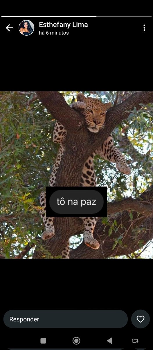 Flavia Duarte (@flvia1796275) on Twitter photo 