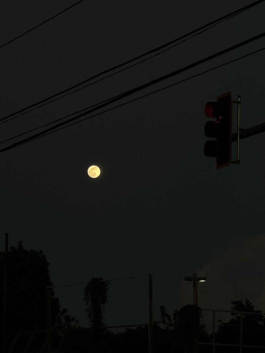 salgan y vean lo hermosa que está la luna, siempre lo está pero hoy está en su total esplendor ✨