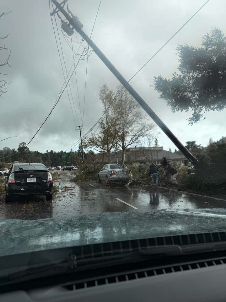 dralter1977's tweet image. Tornado in  Scotts Valley, CA. Four vehicles flipped, trees down, power lines down. #CAwx #tornado #scottsvalley #santacruz