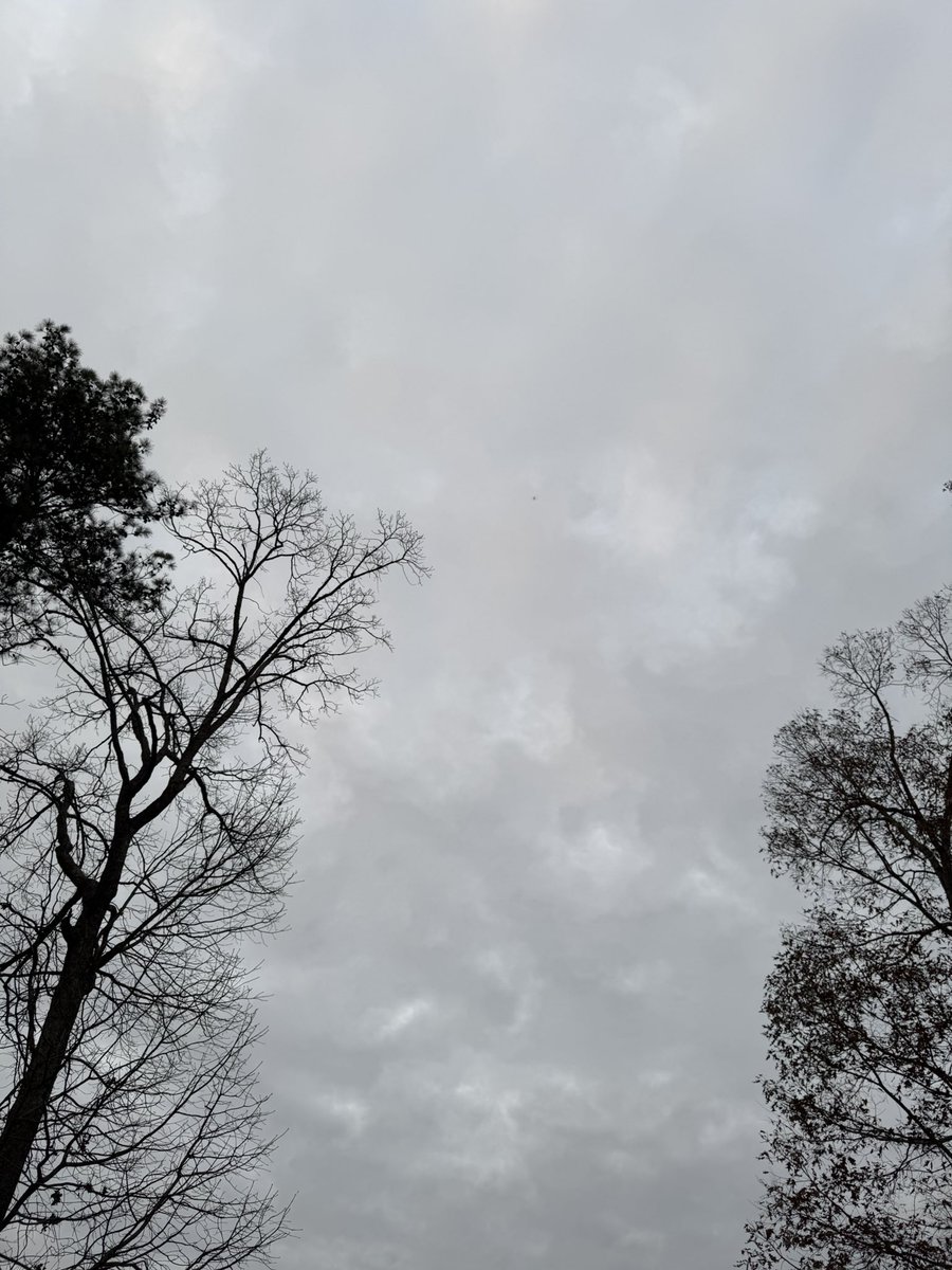 Jasmine 🌌🔭 tweet media