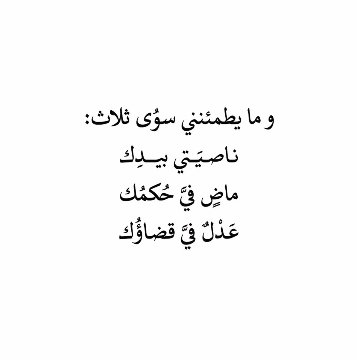 عبدالله الحسيني (@aalhussaini_3) on Twitter photo 