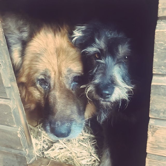 <a href="/TakeshisReturn/">TakeshisReturn</a> Yoo Chad check out $TWO Dev is putting effort to send it don't fade