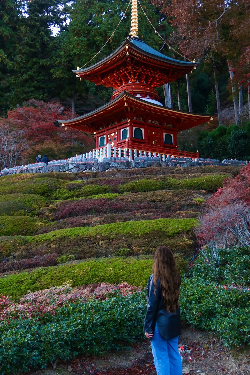 AleBorregoP's tweet photo. Nunca superaré este templo 😍 📍 勝尾寺, Katsuō-ji, Japón 🇯🇵 https://t.co/xqLkXalIUk