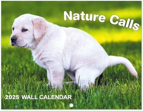frugalfreebies's tweet photo. Dogs Pooping Calendar 2025
50% code: 503ILL63
Amazon: https://t.co/VPNQDV15II (ad)
#FunnyCalendar #GagGiftIdeas #DogLovers #WeirdHumor #2025Laughs #UnusualGifts https://t.co/Swfvv3aqE0