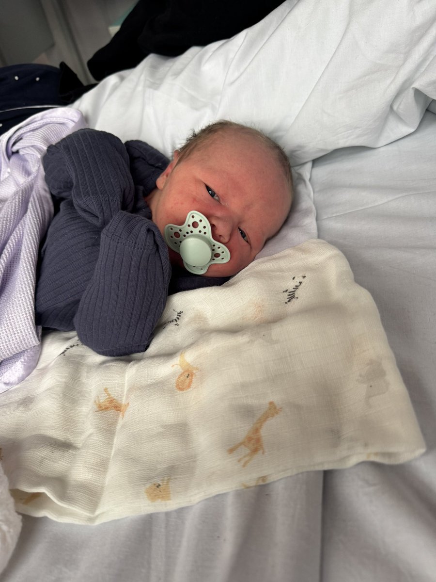 Newest member of the herd household 

Baby Leo