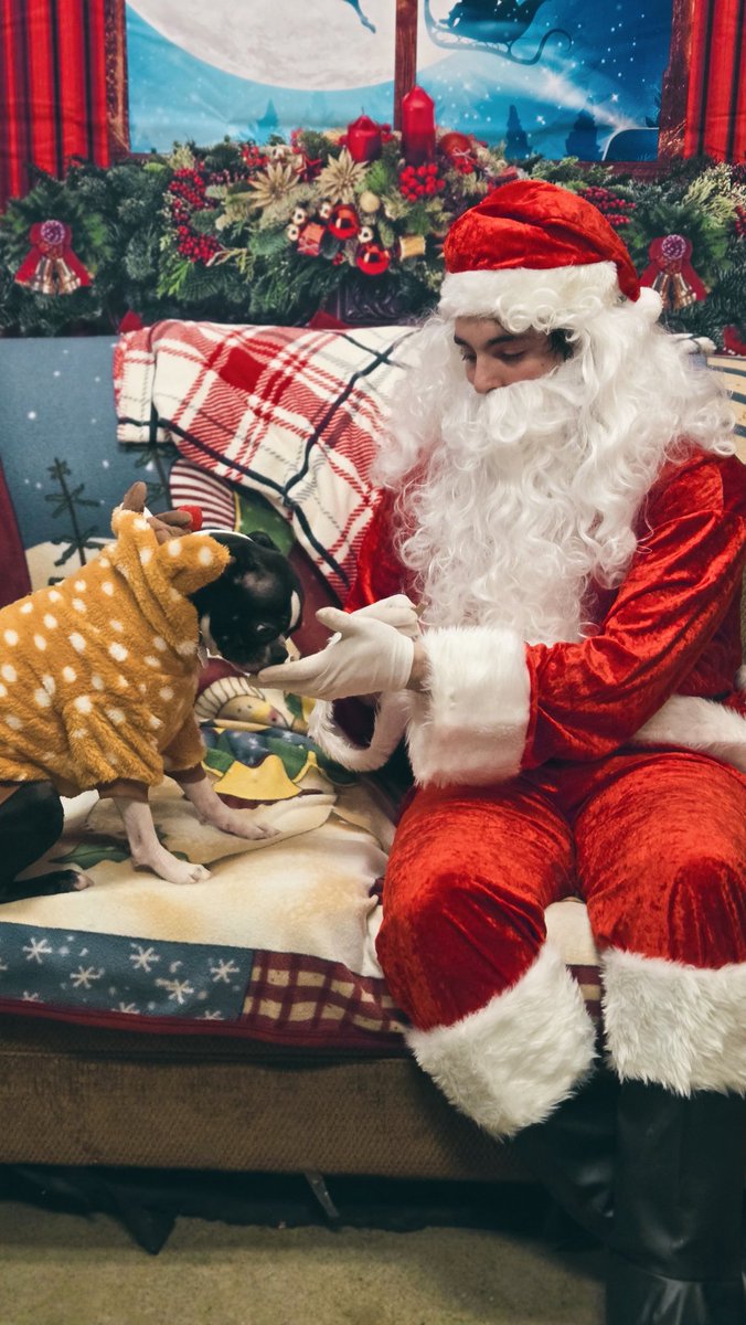 bcase03's tweet photo. Photos with Santa 2024. 🎅 https://t.co/ZbAIel34J2