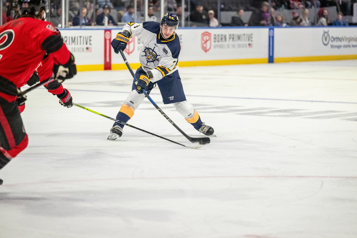 Norfolk Admirals tweet media