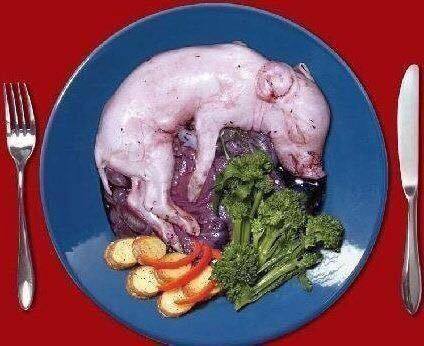 veganismo__'s tweet photo. https://t.co/bYFep58RVl