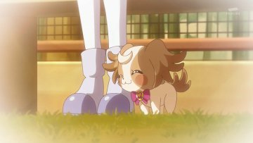 わんだふるぷりきゅあ！ 第45話