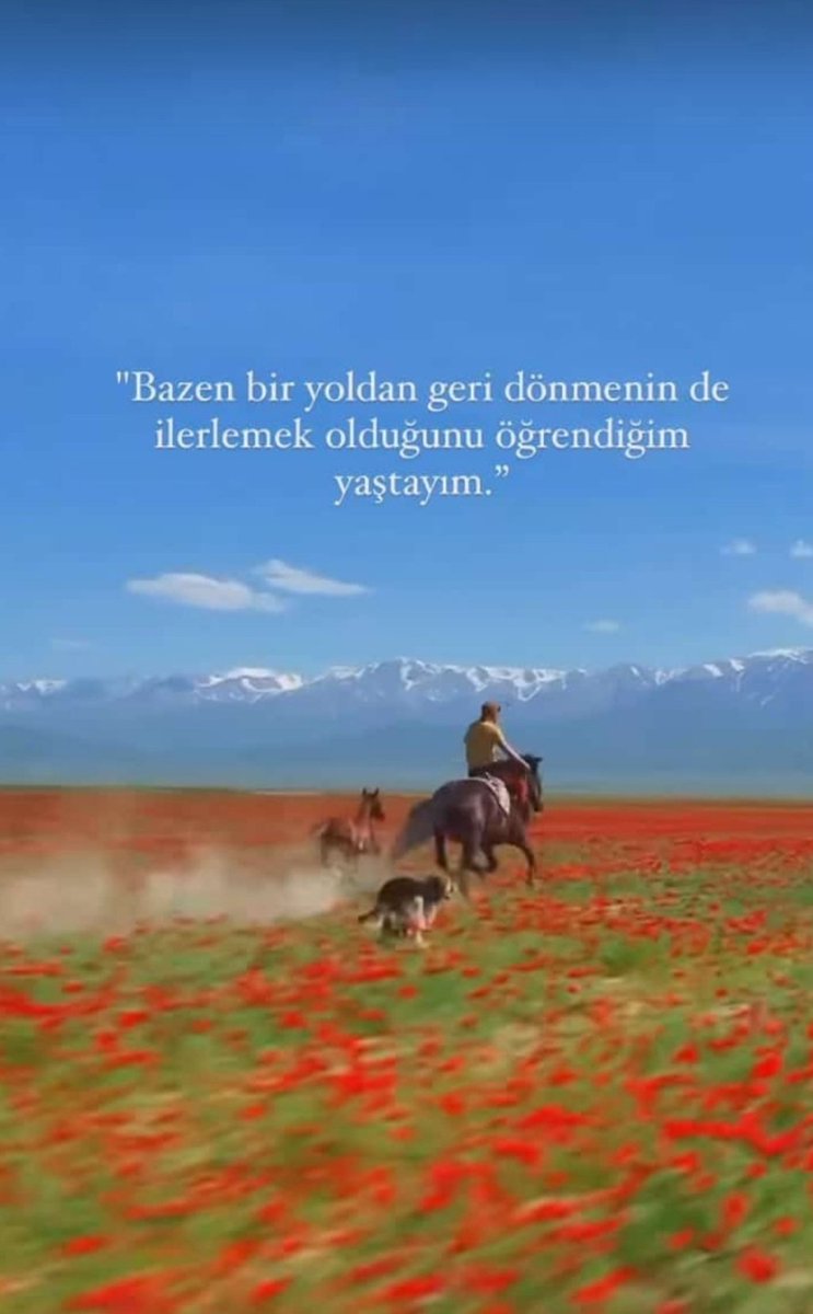 "Kaybolduğumuzu sandığımız o yerde
aslında kim olduğumuzu bulmaya başlarız."🥀❣️