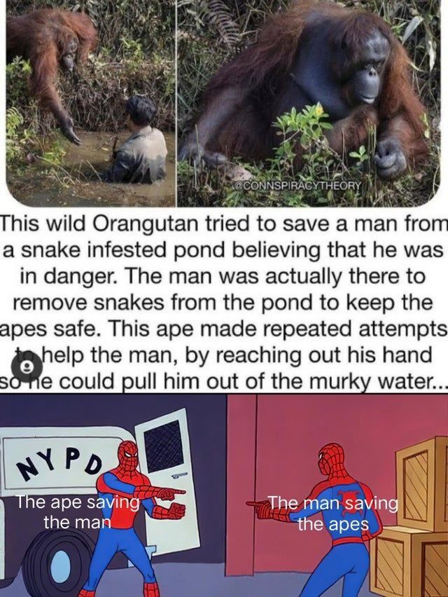 WholesomeMeme's tweet photo. https://t.co/D27nIPsmXT