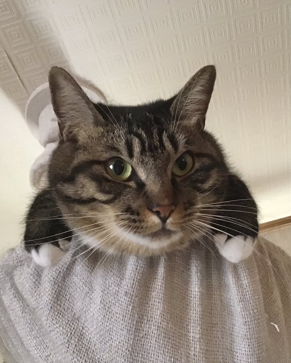 E5%B9%B4%E8%B3%80%E9%83%B5%E4%BE%BF%E7%89%B9%E5%88%A5%E6%89%B1%E3