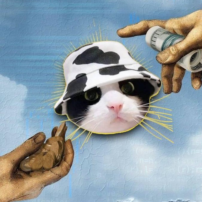 The value of $MooCat is UNDENIABLE!