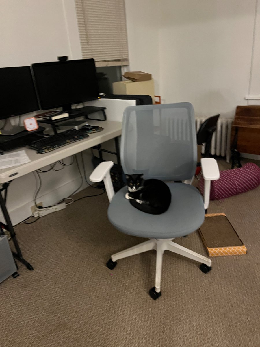 Emma John tweet media