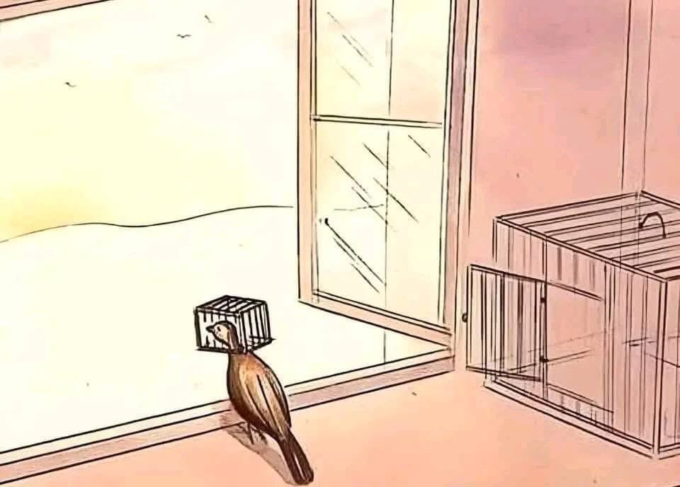 Өглөөний мэнд 🌤️
Та чөлөөтэй шүү🥰 Өөрийгөө битий хориорой😍