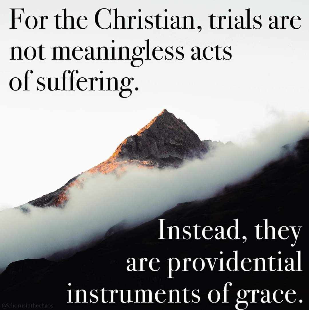 J.C. Ryle tweet media