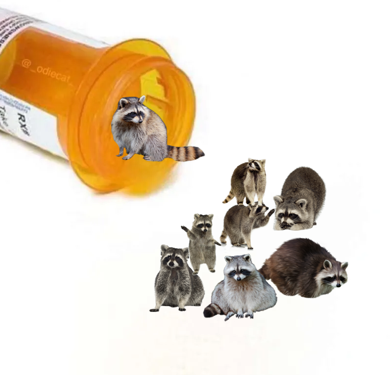 Why you should have a Raccoon tweet media