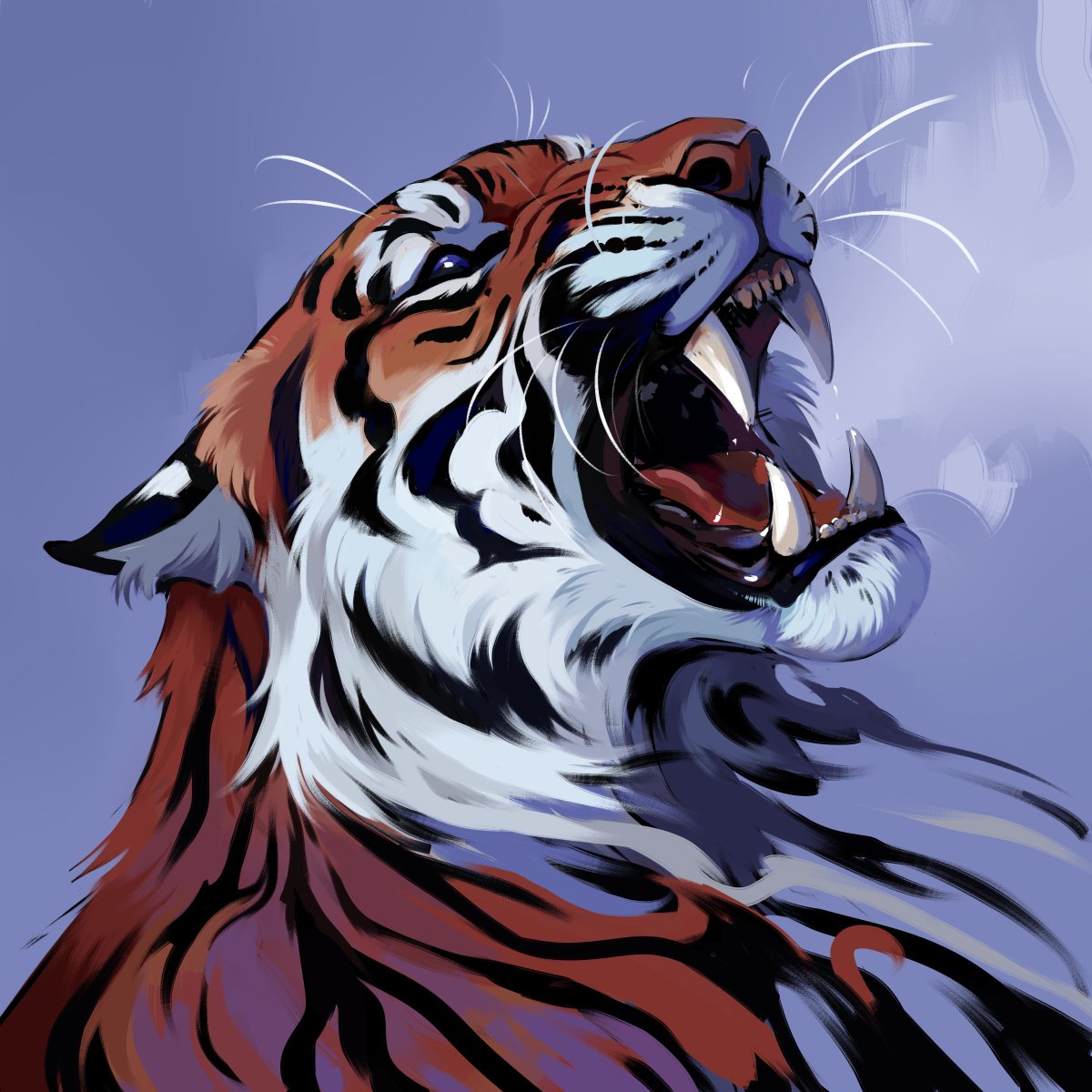 nali_draws's tweet image. tiger doodle