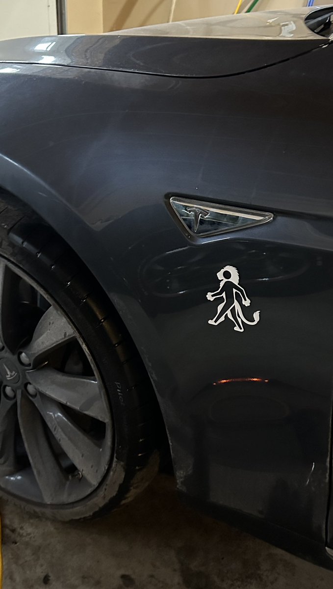 🐾Mark🐾 tweet media