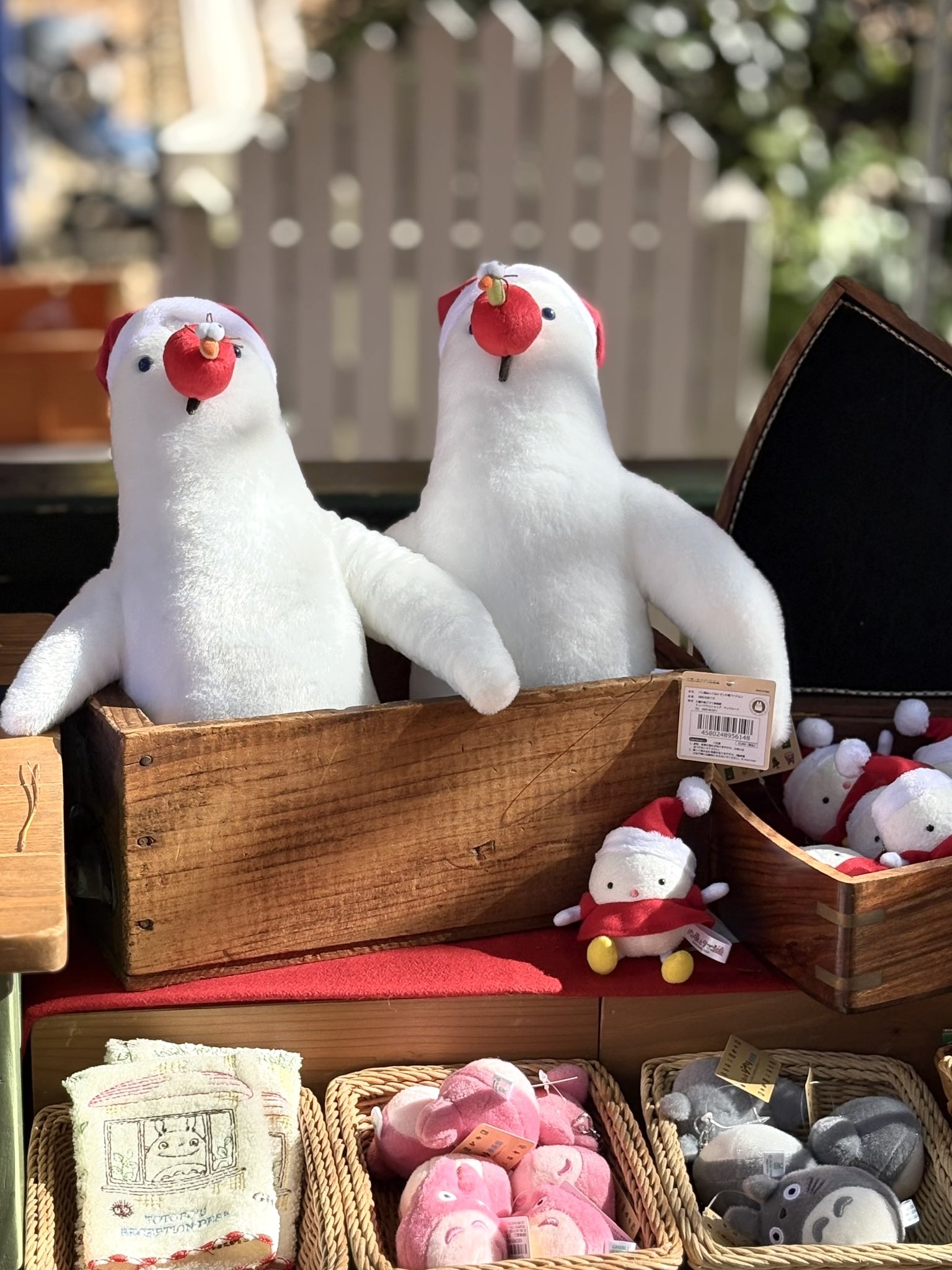 【即購入可】レア　三鷹の森ジブリ美術館限定　コレクションボックス 即購入可】レア 三鷹の森ジブリ美術館限定 コレクションボックス