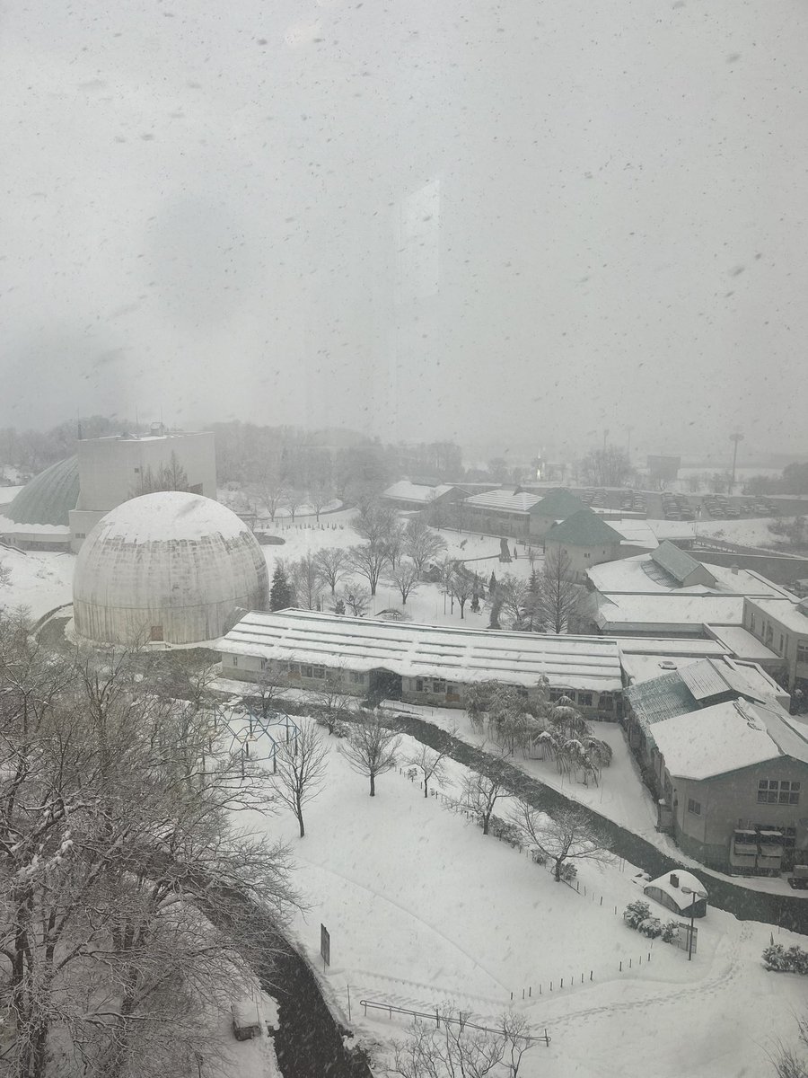 h_ovn's tweet photo. 雪😂⛄️ https://t.co/GTqdhfmm42