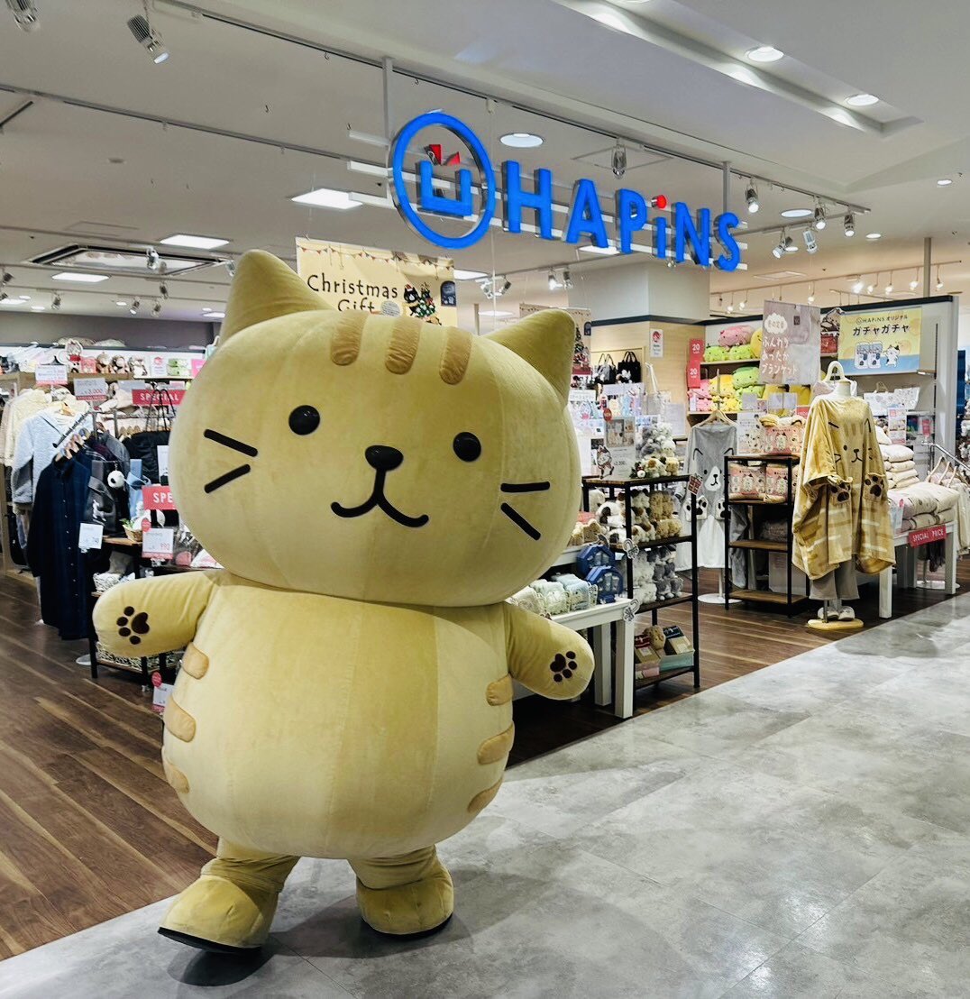 ⋰ 🐱#ふくふくにゃんこ📷 グリーティングイベント開催☆ˎˊ˗ ⋱ みん